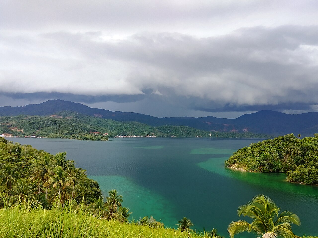 Indonesia’s EV and Battery Industry: Nickel, Policy and the Road to 2030